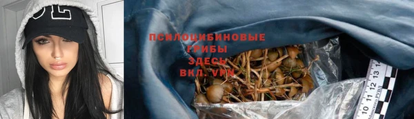эйфоретик Богородицк