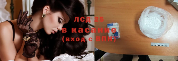 spice Богданович