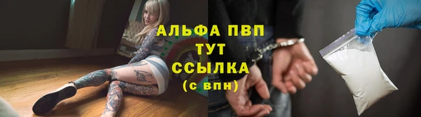 spice Богданович