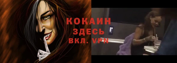 spice Богданович