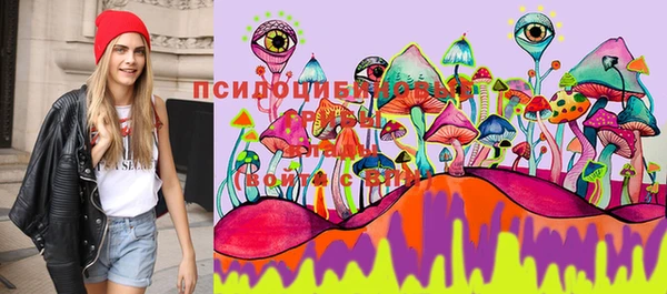spice Богданович