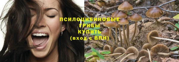 эйфоретик Богородицк