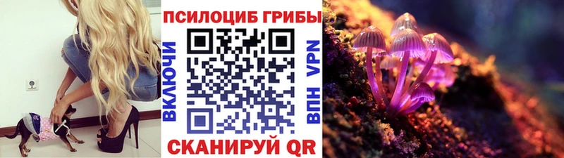 Галлюциногенные грибы Magic Shrooms  Купить где  Гаврилов Посад 